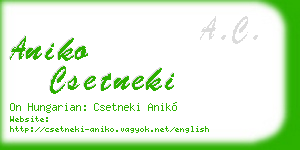 aniko csetneki business card